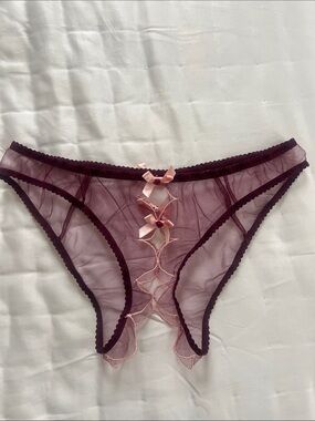 AGENT  PROVOCATIVE  Collection 
Sheer Panty in Dusty Rose and Plum
